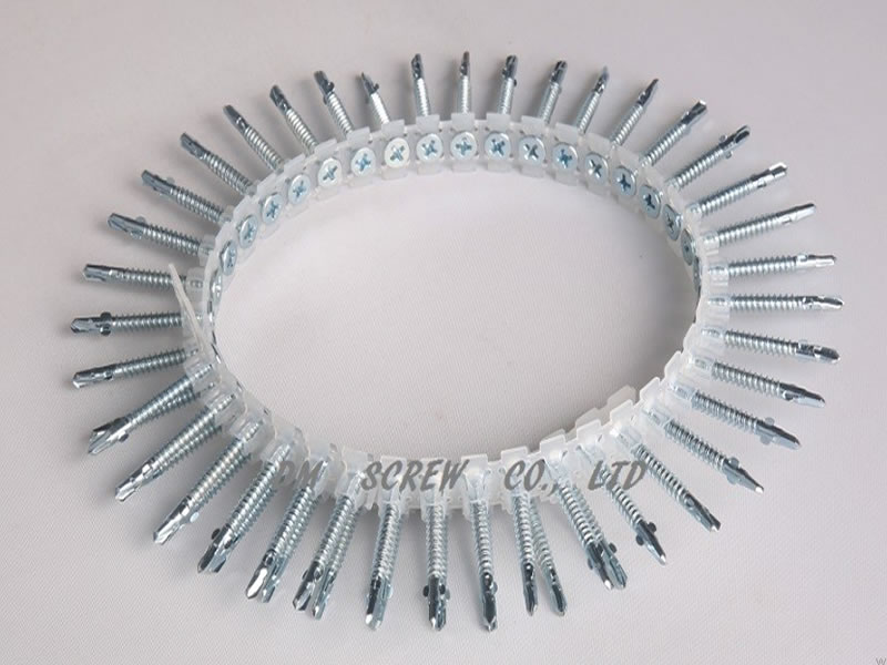 Collated Screws_Yangjiang DM Screw Hardware Products Co., Ltd._Product_Self Drilling Screw_得盟五金_鑽尾螺丝_自攻螺丝_机牙螺丝_特殊螺丝_超长螺丝_组合螺丝_其它螺丝_钻尾螺丝_自攻螺丝_钻尾丝